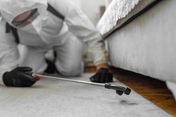 Professional Cockroach Control technician working in Uvalde, TX