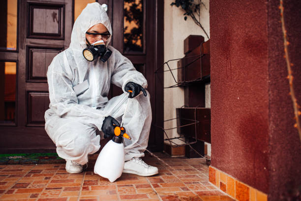 Reliable Cockroach Control contractor in Uvalde, TX by Nex Pest Control